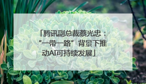 腾讯副总裁蔡光忠：“一带一路”背景下推动AI可持续发展