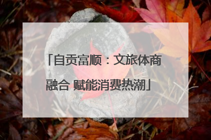 自贡富顺：文旅体商融合 赋能消费热潮