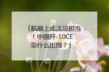 航展上成流量担当！中国歼-10CE靠什么出圈？