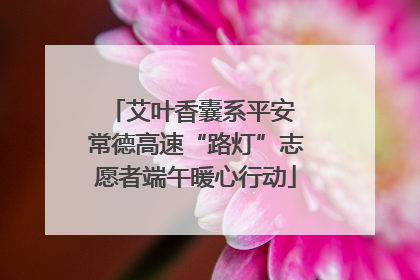 艾叶香囊系平安 常德高速“路灯”志愿者端午暖心行动