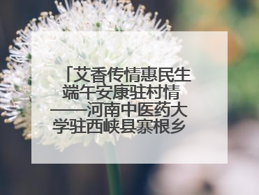 艾香传情惠民生 端午安康驻村情——河南中医药大学驻西峡县寨根乡桑树村工作队端午中医惠民记
