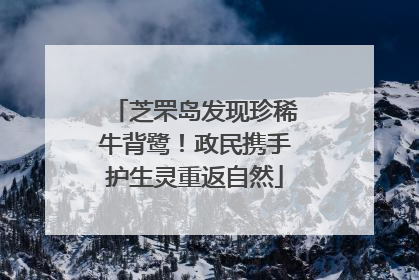 芝罘岛发现珍稀牛背鹭！政民携手护生灵重返自然