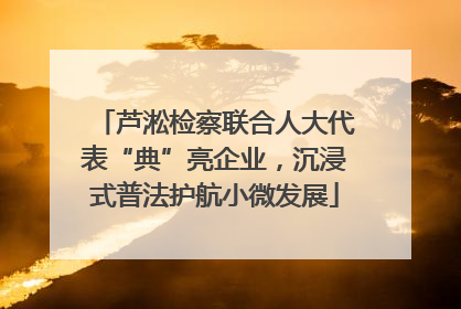 芦淞检察联合人大代表“典”亮企业，沉浸式普法护航小微发展