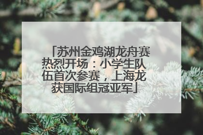 苏州金鸡湖龙舟赛热烈开场：小学生队伍首次参赛，上海龙获国际组冠亚军