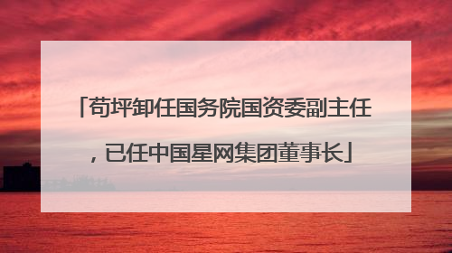 苟坪卸任国务院国资委副主任，已任中国星网集团董事长
