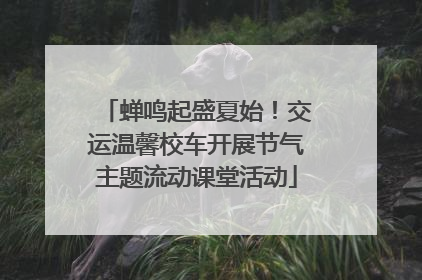 蝉鸣起盛夏始！交运温馨校车开展节气主题流动课堂活动