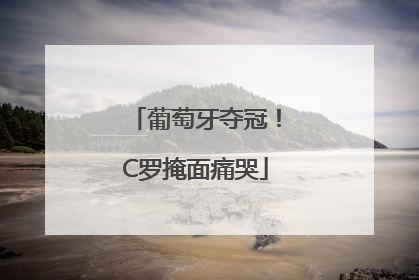 葡萄牙夺冠！C罗掩面痛哭