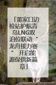 董家口边检站护航青岛LNG双泊位联动“龙舟接力赛” 开启能源保供新篇章