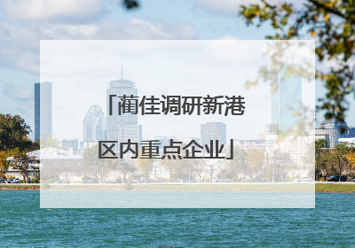 蔺佳调研新港区内重点企业