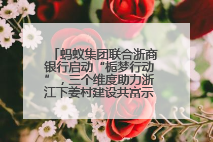 蚂蚁集团联合浙商银行启动“栀梦行动”，三个维度助力浙江下姜村建设共富示范区示范点