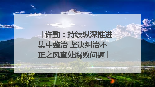 许勤：持续纵深推进集中整治 坚决纠治不正之风查处腐败问题