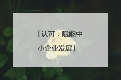 认可：赋能中小企业发展