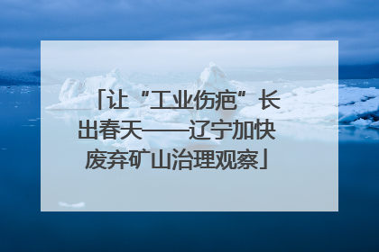 让“工业伤疤”长出春天——辽宁加快废弃矿山治理观察