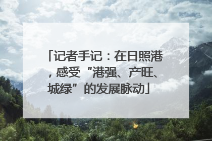 记者手记：在日照港，感受“港强、产旺、城绿”的发展脉动