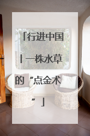 行进中国丨一株水草的“点金术”
