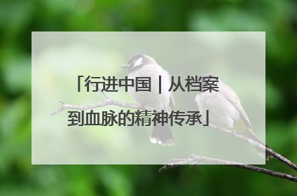 行进中国｜从档案到血脉的精神传承