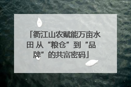 衢江山农赋能万亩水田 从“粮仓”到“品牌”的共富密码