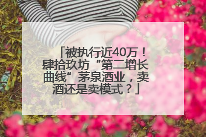 被执行近40万！肆拾玖坊“第二增长曲线”茅泉酒业，卖酒还是卖模式？