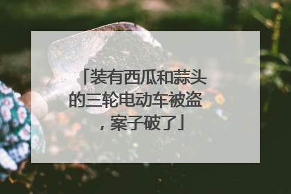 装有西瓜和蒜头的三轮电动车被盗，案子破了