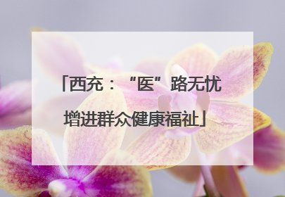 西充：“医”路无忧 增进群众健康福祉