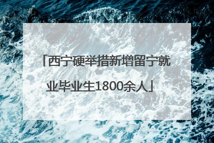 西宁硬举措新增留宁就业毕业生1800余人
