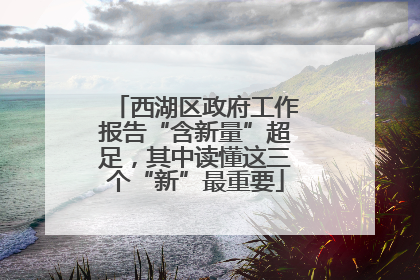 西湖区政府工作报告“含新量”超足，其中读懂这三个“新”最重要