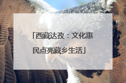 西藏达孜：文化惠民点亮藏乡生活