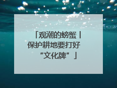 观潮的螃蟹丨保护耕地要打好“文化牌”