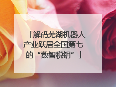 解码芜湖机器人产业跃居全国第七的“数智税钥”
