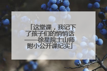 这堂课，我记下了孩子们的悄悄话——徐星院士山师附小公开课纪实