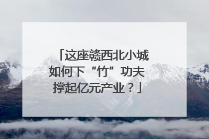 这座赣西北小城如何下“竹”功夫撑起亿元产业？