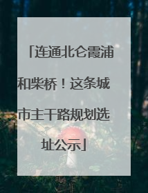 连通北仑霞浦和柴桥！这条城市主干路规划选址公示
