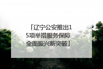 辽宁公安推出15项举措服务保障全面振兴新突破