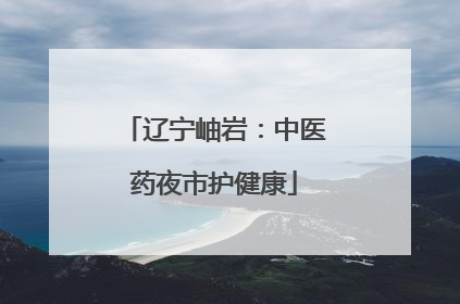 辽宁岫岩：中医药夜市护健康