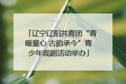 辽宁辽阳共青团“青暖童心 古韵承今”青少年观剧活动举办