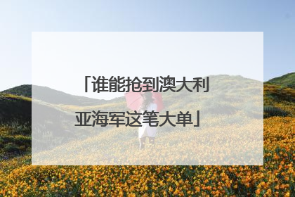 谁能抢到澳大利亚海军这笔大单