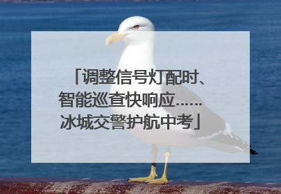 调整信号灯配时、智能巡查快响应……冰城交警护航中考