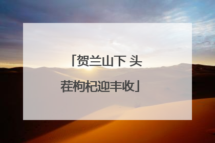 贺兰山下 头茬枸杞迎丰收