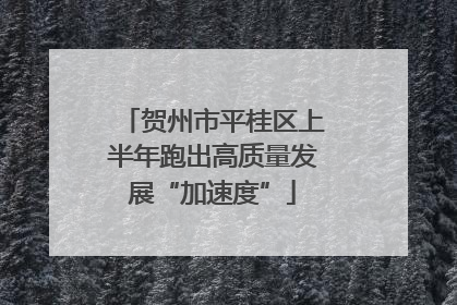 贺州市平桂区上半年跑出高质量发展“加速度”