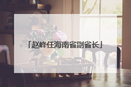 赵峰任海南省副省长