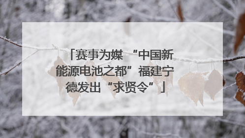 赛事为媒 “中国新能源电池之都”福建宁德发出“求贤令”
