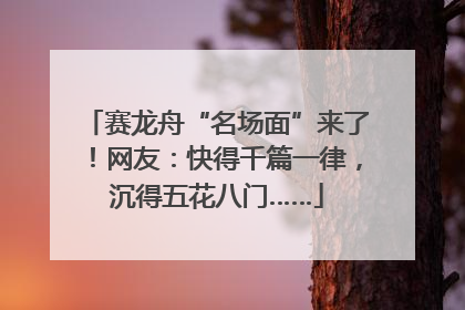 赛龙舟“名场面”来了！网友：快得千篇一律，沉得五花八门……