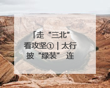 走“三北” 看攻坚①｜太行披“绿装” 连翘药茶香