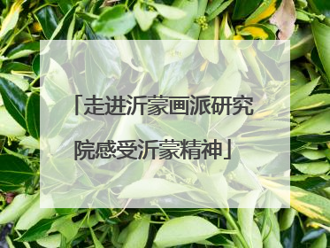 走进沂蒙画派研究院感受沂蒙精神