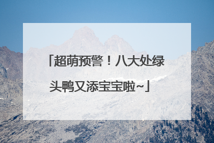 超萌预警！八大处绿头鸭又添宝宝啦~
