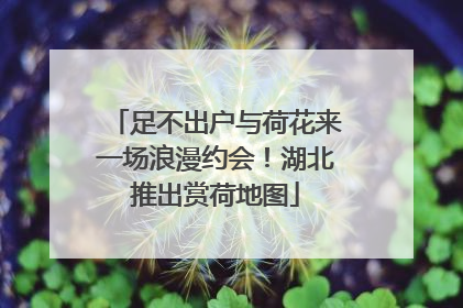 足不出户与荷花来一场浪漫约会！湖北推出赏荷地图