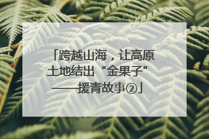 跨越山海，让高原土地结出“金果子”——援青故事②
