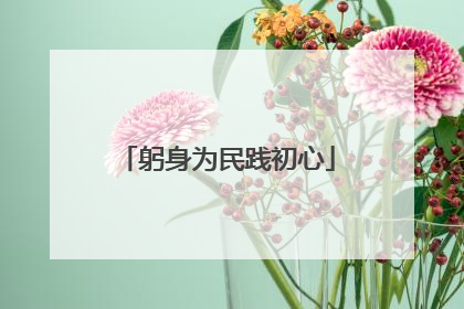 躬身为民践初心