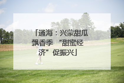 通海：兴蒙甜瓜飘香季 “甜蜜经济”促振兴