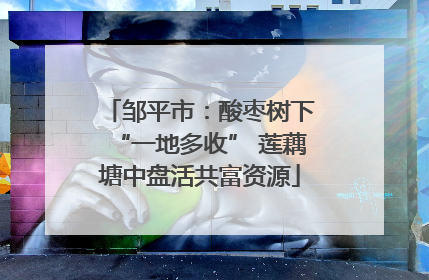邹平市：酸枣树下“一地多收” 莲藕塘中盘活共富资源